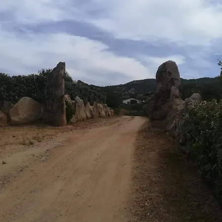 Sole Arzachena